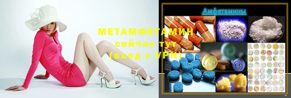 прущие грибы Баксан